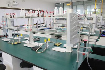 科技筑夢英才，蘇州高中開啟現象級育人新模式 學生入劍橋即任助教，實驗室設備成列強標配